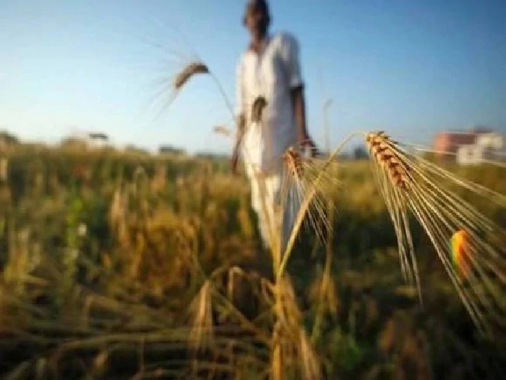 wet drought : two farmers suicide in latur district ओल्या दुष्काळाचे बळी! डोळ्यासमोर पिकांची माती झालेली पाहून लातूर जिल्ह्यात दोन शेतकऱ्यांच्या आत्महत्या