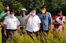 तासाभरात गावात न आल्यास मिरवणूक काढतो; कृषी अधिकाऱ्याला धमकावतानाचा नितेश राणेंचा व्हिडीओ व्हायरल