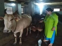 शेतीतील नवदुर्गा : MPSC पूर्वपरीक्षा उत्तीर्ण, आज कोकणात लाखोंची उलाढाल, 'पुणेकर' तरुणीचा भन्नाट प्रवास