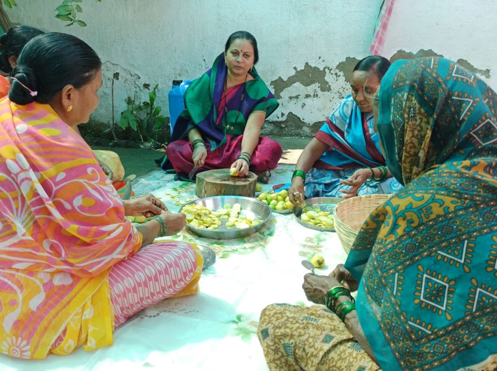 शेतीतील नवदुर्गा: संगिता देशमुखांनी दाखवली 'स्वंयप्रेरणे'ची नवी पायवाट, प्रवास एका प्रेरणेचा