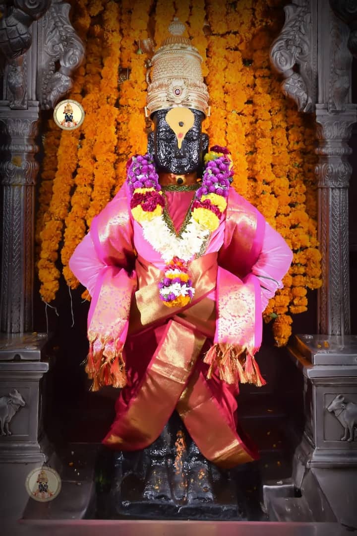 आज विजयादशमी साडेतीन मुहूर्तापैकी एक असलेल्या दसऱ्याला विठूरायाच्या राऊळी सोनेरी झेंडू फुलांनी सजून गेली आहे. 