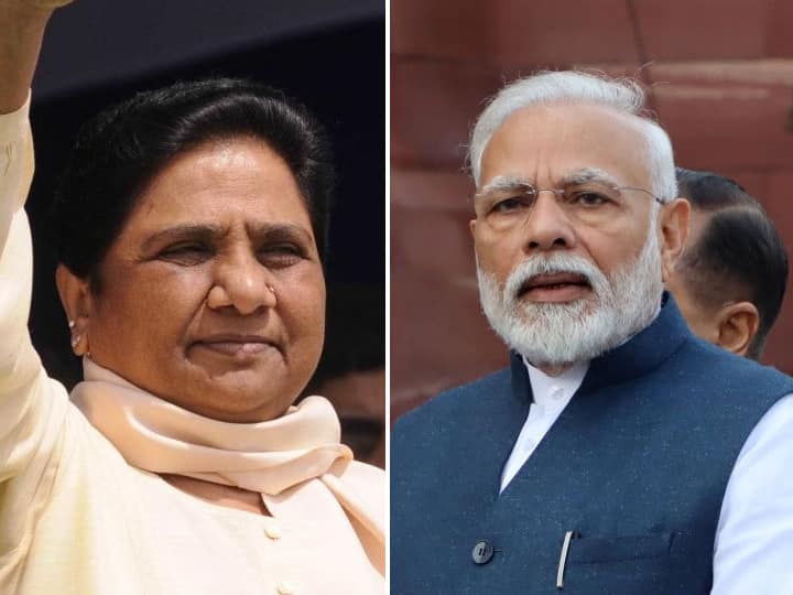  BSP will also vote for BJP to defeat SP says mayavati bihar election सपाला हरवण्यासाठी प्रसंगी बसपा भाजपलाही मतदान करेल : मायावती