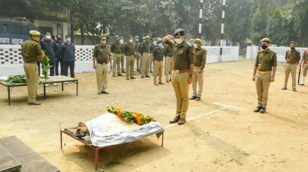 Super K9 additional SP Tinki who specialised in blind cases takes final bow अनेक गुन्ह्यांचा छडा लावणाऱ्या सुपर K9 अतिरिक्त एसपी टिंकीने घेतला अंतिम श्वास, पोलीसांकडून मानवंदना