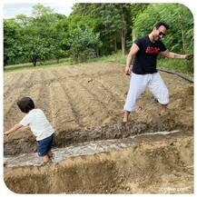 PHOTO : वडील सैफसोबत शेतात मस्ती करतोय तैमूर, फोटो व्हायरल