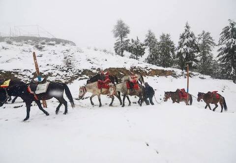  बर्फवृष्टीमुळे रस्त्यांवर, झाडांवर, घरांवर सर्वत्र बर्फाची जणू मखमली चादर पसरल्याचे चित्र दिसत आहे.