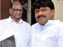 शरद पवार म्हणजे चार खासदारांचे लोकनेते, आमदार गोपीचंद पडळकर यांची टीका