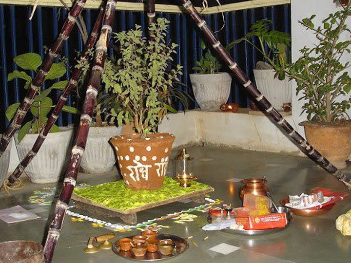Tulsi Vivah 2020 know how start tradition of Tulsi Vivah and its Significance Tulsi Vivah 2020: अशी सुरु झाली तुळशी विवाहाची परंपरा, यंदा 'हा' आहे मुहुर्त