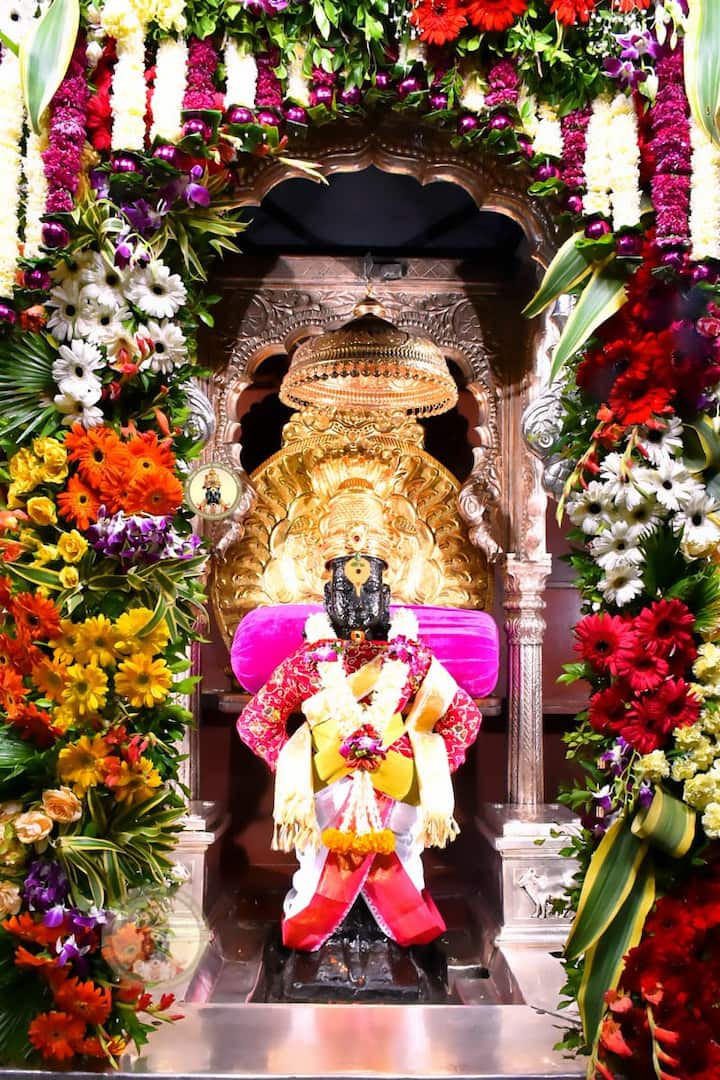 कार्तिकी एकादशीला विठुरायाचे सावळं रुप.