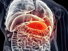 मुंबईत हेपॅटायटीस आणि गॅस्ट्रोच्या रुग्णसंख्येत घट