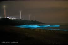 तळकोकणातील समुद्रकिनारी चकाकणारी निळ्याशार रंगाची चादर