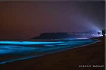 तळकोकणातील समुद्रकिनारी चकाकणारी निळ्याशार रंगाची चादर