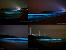 तळकोकणातील समुद्रकिनारी चकाकणारी निळ्याशार रंगाची चादर