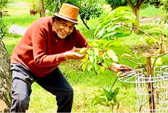 सध्या धर्मेंद्र पंजाबमध्ये आपल्या घरात राहून शेती करत आहेत. आपल्या इन्स्टाग्राम अकाउंटवर ते भाज्यांचे फोटोही शेअर करत असतात. 