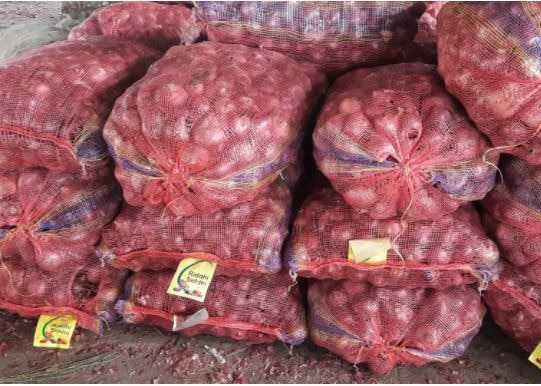 Onion prices fall in Sangli, Solapur market, Turkish and Egyptian onions enter markets सांगली, सोलापुरात कांद्याचे दर घसरले, बाजापेठांमध्ये तुर्की आणि इजिप्तचा कांदा दाखल