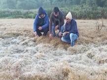 थंडीचा कडाका : मुंबई 16 अंशांवर; वेण्णा लेक परिसरात पुन्हा बर्फाची चादर