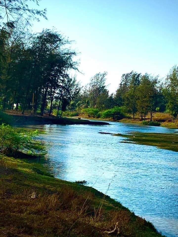 ख्रिसमस, न्यू ईयरसाठी रत्नागिरीतील समुद्रकिनारी पर्यटकांची गर्दी; कोरोनाच्या नियमांचं उल्लंघन केल्यास दंडात्मक कारवाई