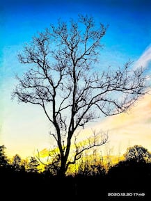 PHOTO | पातुल्डा पठारावर निसर्गाची अतिसुंदर रंगांची उधळण