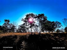 PHOTO | पातुल्डा पठारावर निसर्गाची अतिसुंदर रंगांची उधळण