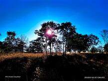 PHOTO | पातुल्डा पठारावर निसर्गाची अतिसुंदर रंगांची उधळण