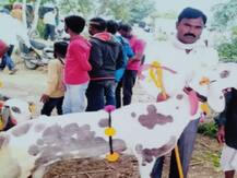 आटपाडीतील 'त्या' 16 लाखाच्या बकऱ्याची चोरी