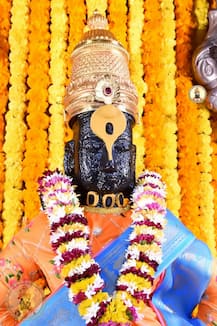 PHOTO : नववर्षाच्या स्वागताला विठुराया सजला, आकर्षक फुलांची सजावट