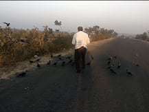 व्वा रहिमभाई व्वा...! पक्षांनाही यांच्या आगमनाची आस, 15 वर्षांपासून कावळ्यांशी निखळ मैत्री