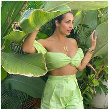 मलायकाचं हॉट फोटोशूट; फोटो अर्जुनने काढले का?, चाहत्यांचे प्रश्न