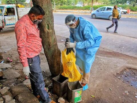 मंगळवारी पहाटेपर्यंत राजस्थानातील 33 जिल्ह्यांपैकी 16 जिल्ह्यांमध्ये पक्ष्यांच्या मृत्यूची संख्या 625 वर पोहोचली. तर 11 जिल्ह्यातील 86 नमुने तपासणीसाठी पाठविण्यात आले आहेत.