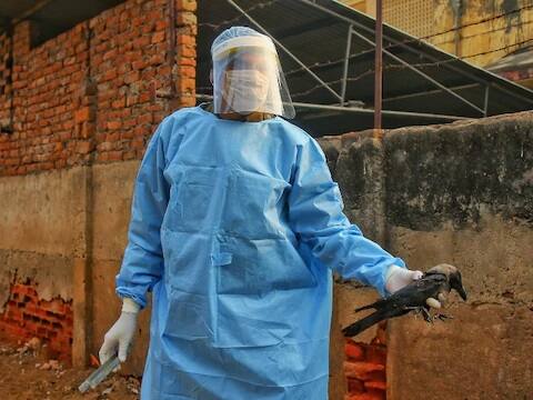 राजस्थानमधील अधिकाऱ्यांनी सांगितले की कोटा आणि बारां जिल्ह्यात पक्ष्यांच्या नमुन्यांच्या चाचण्यांमध्येही एव्हीयन इन्फ्लूएंझा आढळला आहे. राज्याचे कृषी व पशुसंवर्धन विभाग मंत्री लालचंद कटारिया म्हणाले की, झालावाड, कोटा आणि बारां या तीन जिल्ह्यांमध्ये एव्हीयन इन्फ्लूएन्झा (बर्ड फ्लू) संसर्ग झाला आहे आणि इतर ठिकाणीही हा विषाणू पसरत आहे, ही चिंताजनक बाब आहे.