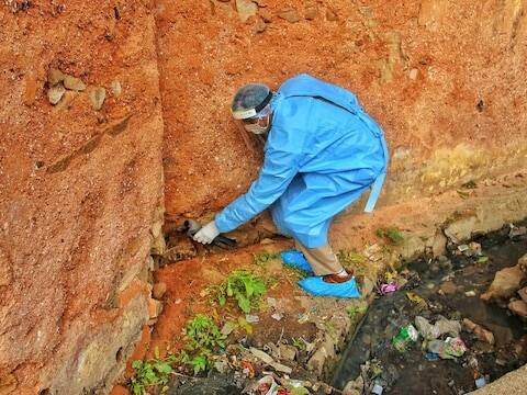 हे चित्र जयपूरमधील जल महल जवळचे आहे. वनविभागाचे अधिकारी रस्त्याच्या कडेला आजारी कावळ्याला पकडत आहेत. राजस्थानमध्ये आतापर्यंत 500 हून अधिक कावळे मरण पावले आहेत. बर्ड फ्लूने राजस्थानातील सवाई माधोपूर, बिकानेर, झालावाड़, बारां, पाली आणि बनसवारा या सहा जिल्ह्यांमध्ये शिरकाव केला आहे.