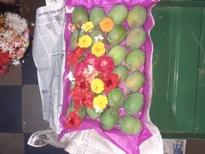 शंकर नाणेरकर यांच्या कुणकेश्वर गावातील हापूस कलमांना ऑगस्ट, सप्टेंबर महिन्यात मोहोर आला होता. 