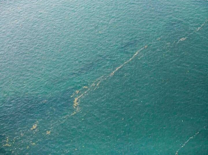 राष्ट्रपती जोको विडोडो म्हणाले की, मी सरकार आणि सर्व इंडोनेशियन जनतेच्या वतीने या घटनेबद्दल शोक व्यक्त करतो. परिवहन मंत्री बी.के. सुमडी म्हणाले की, अपघाताच्या जागेचा अंदाज घेत अधिकाऱ्यांनी मोठ्या प्रमाणात शोध मोहीम सुरू केली आहे.