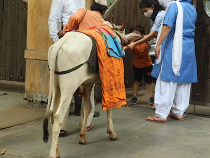 तैमुरचे हे फोटो मोठ्या प्रमाणावर व्हायरल होत आहेत. 