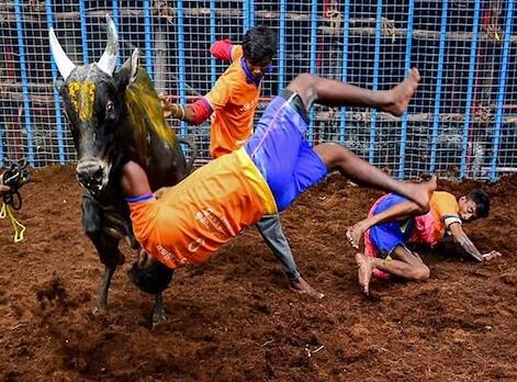 मदुराईतील अवनीयापूरम येथे आयोजित करण्यात आलेल्या जल्लीकट्टू स्पर्धेला त्यांनी हजेरी लावली होती.