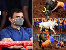 IN PICS | राहुल गांधी जल्लीकट्टू स्पर्धा पाहण्यासाठी हजेरी लावतात तेव्हा....