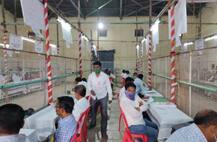 Gram Panchayat Election Results 2021 | राज्यभरातील ग्रामपंचायत निवडणुकांचा आज निकाल; मतमोजणीला सुरुवात