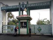 गोरेवाडा आंतरराष्ट्रीय प्राणी संग्रहालयाला बाळासाहेब ठाकरे यांचं नाव, राज्य सरकारचा निर्णय