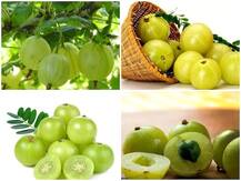 Health Tips: जर तुम्ही आवळा खात असाल, तर मग त्यापासून होणारे नुकसान वाचा