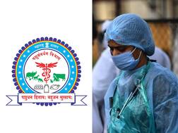 बर्ड फ्लूचं संकट घोंघावत असताना राज्यात पशु संवर्धन विकास अधिकाऱ्यांची प्रचंड कमतरता
