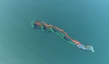 PHOTO | खाण्याचे रंग, मत्स्य खाद्य वापरुन मालवणच्या समुद्रात 400 फूट तिरंगा साकारला