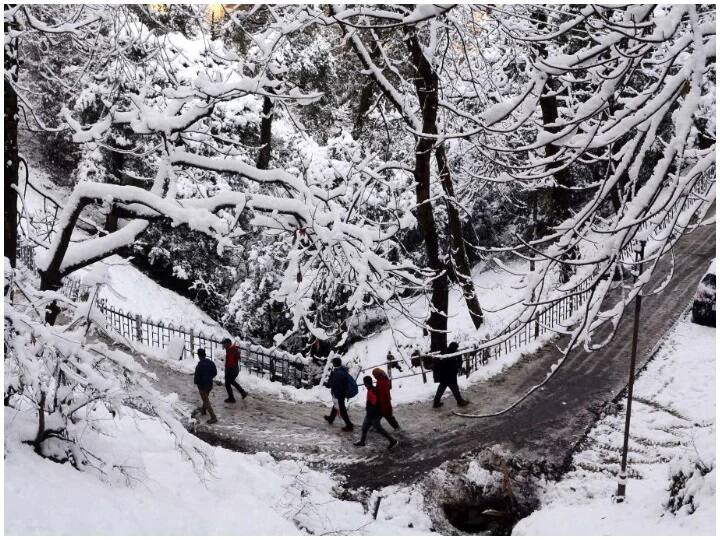 उत्तर भारत गोठला; देशात वाढणार शीतलहरीचा कहर cold wave continues himachal pradesh snowfall in kufri bharmour kalpa keylong rain in kangra and dharamshala उत्तर भारत गोठला; देशात वाढणार शीतलहरीचा कहर