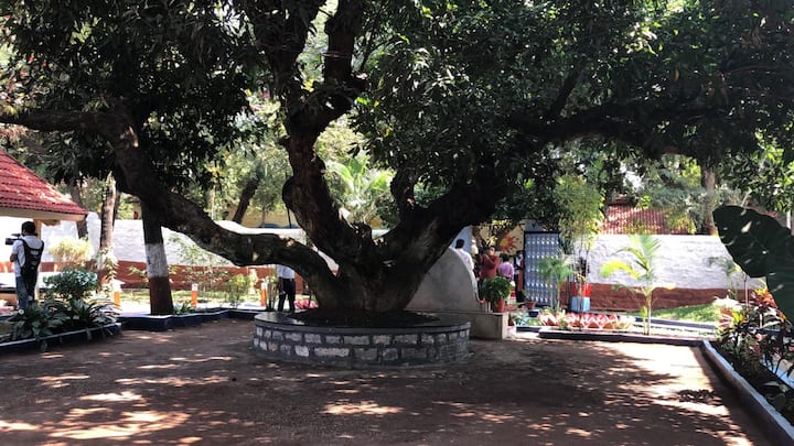 डॉ. बाबासाहेब आंबेडकर व महात्मा गांधी यांच्यामध्ये प्रसिध्द असा पुणे करार झाला तो याच येरवडा कारागृहात गांधी यार्ड असलेल्या आंब्याच्या झाडाखाली झाला. त्या झाडाची सुध्दा योग्य प्रकारे देखभाल करण्यात येत आहे.