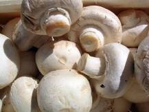 Health Tips | आहाराच्या सवयींमध्ये आजपासूनच करा मशरुमचा समावेश; फायदे जाणून व्हाल थक्क