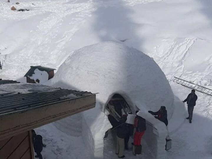 हे इग्लू कॅफे आतील बाजूने 22 फूट रूंद आणि १३ फूट उंच आहे. तर बाहेरील बाजूने 24 फूट रूंद आणि 15 फूट उंच आहे. 