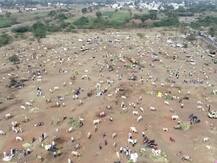 आटपाडीतील खरसुंडीच्या खिलारी जनावरांच्या बाजारात शेतकऱ्यांची झुंबड, कोट्यावधींची उलाढाल