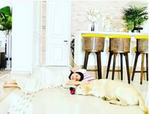 PHOTO | मुंबईतील 'या' आलिशान घरात विरुष्काचा राजा-राणीचा संसार