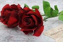 Valentine Week 2021: 'व्हॅलेंटाईन वीक'मध्ये 'त्या' खास व्यक्तीला सरप्राईज देण्यासाठी सज्ज आहात ना?