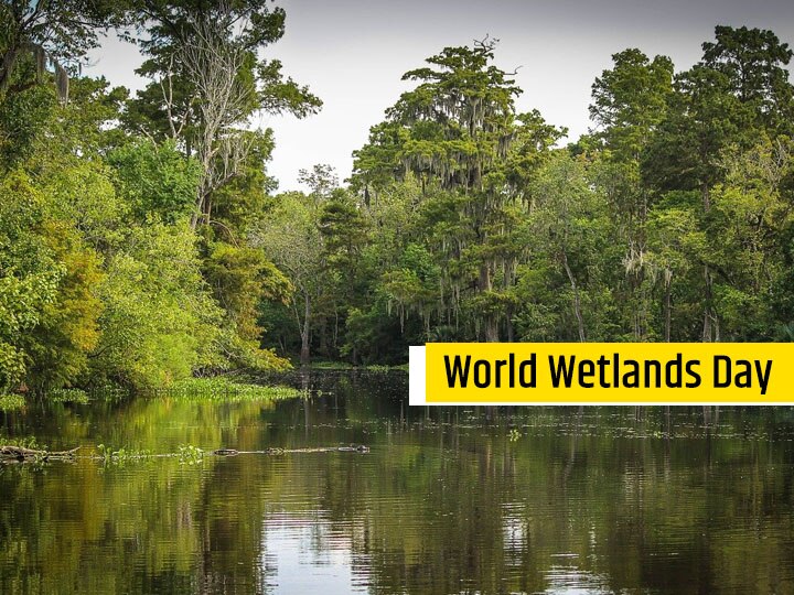 World Wetlands Day 2021 Know the Date Theme and Significance of Wetlands World Wetlands Day 2021: काय आहे पाणथळ प्रदेशाचं महत्व, का साजरा केला जातो जागतिक पाणथळ दिवस?