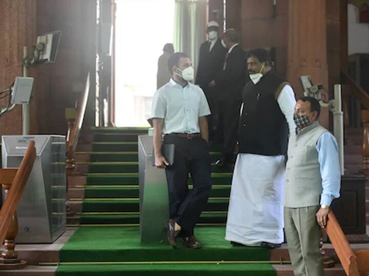 लोकसभेतील सेशन संपल्यानंतरचे राहुल गांधीचे हे फोटो आहे. राहुल गांधीच्या हातात आयपॅड आहे.