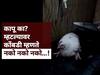 'तुझे काटू क्या'? म्हटल्यावर कोंबडी मान हलवून म्हणते 'नको नको नको...!' सांगलीत व्हिडीओ व्हायरल